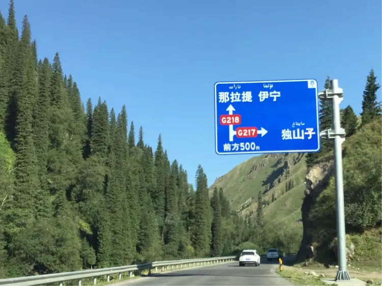 爱游戏官网-新疆队一路奋战，实现胜利保卫