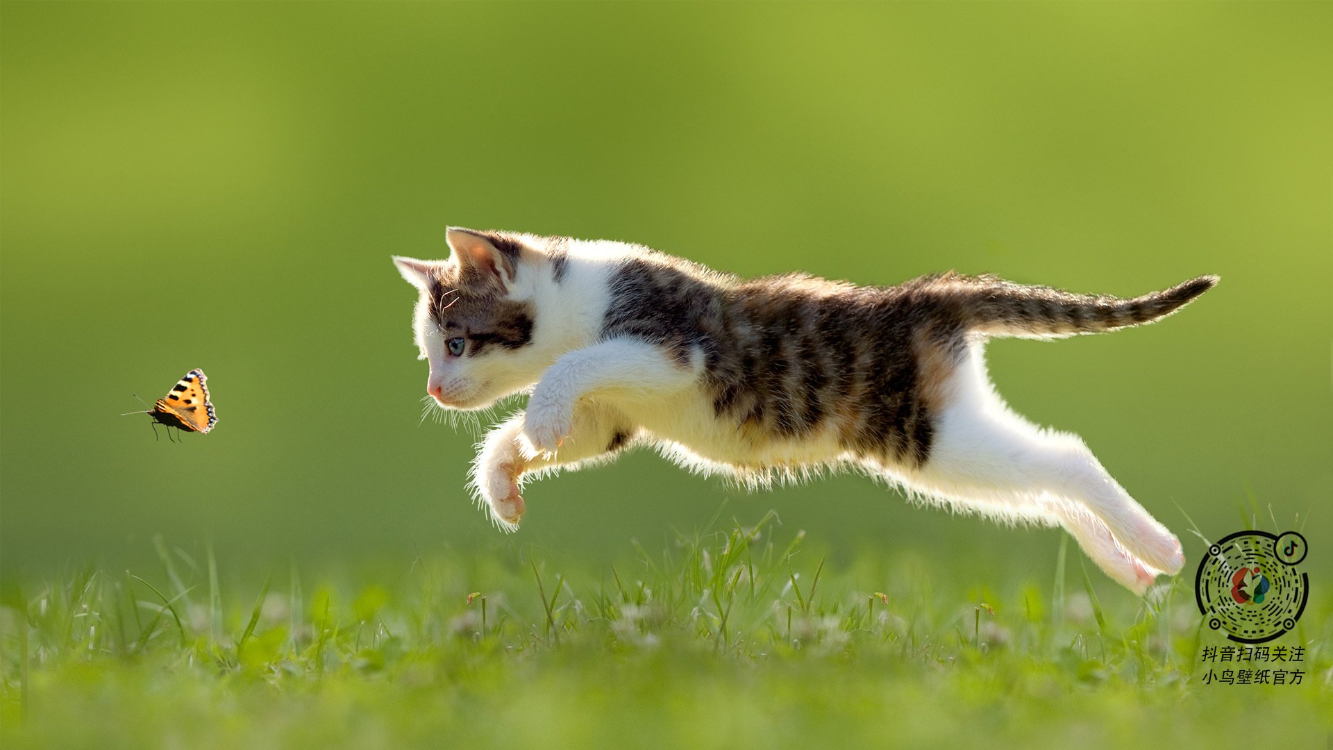 迈阿密热线与东方巨龙，当易建联在平行宇宙统治了NBA总决赛