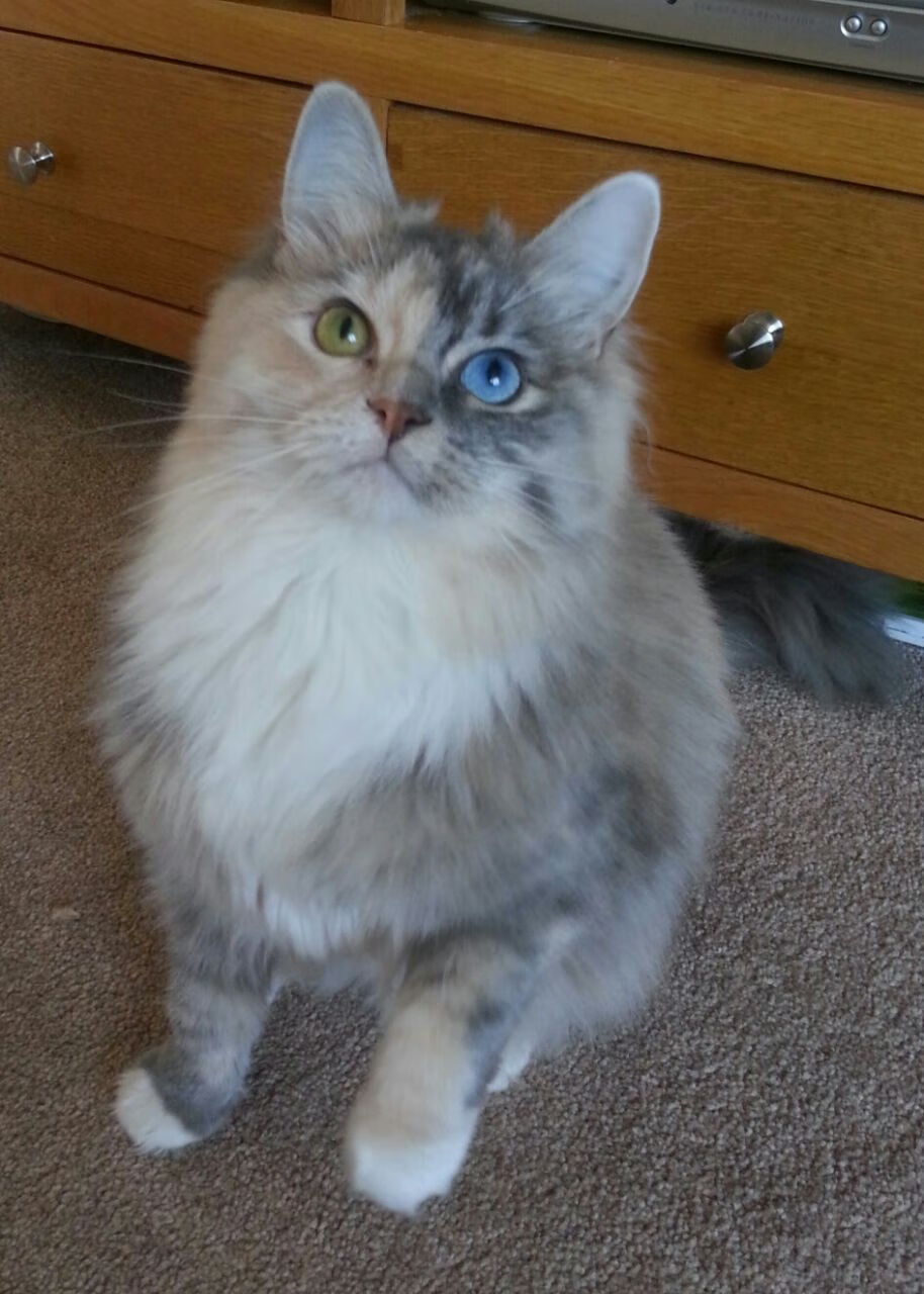 新王登基！蒙特卡洛大师赛完胜拉沃尔杯，蒂姆统治全场彰显硬地实力