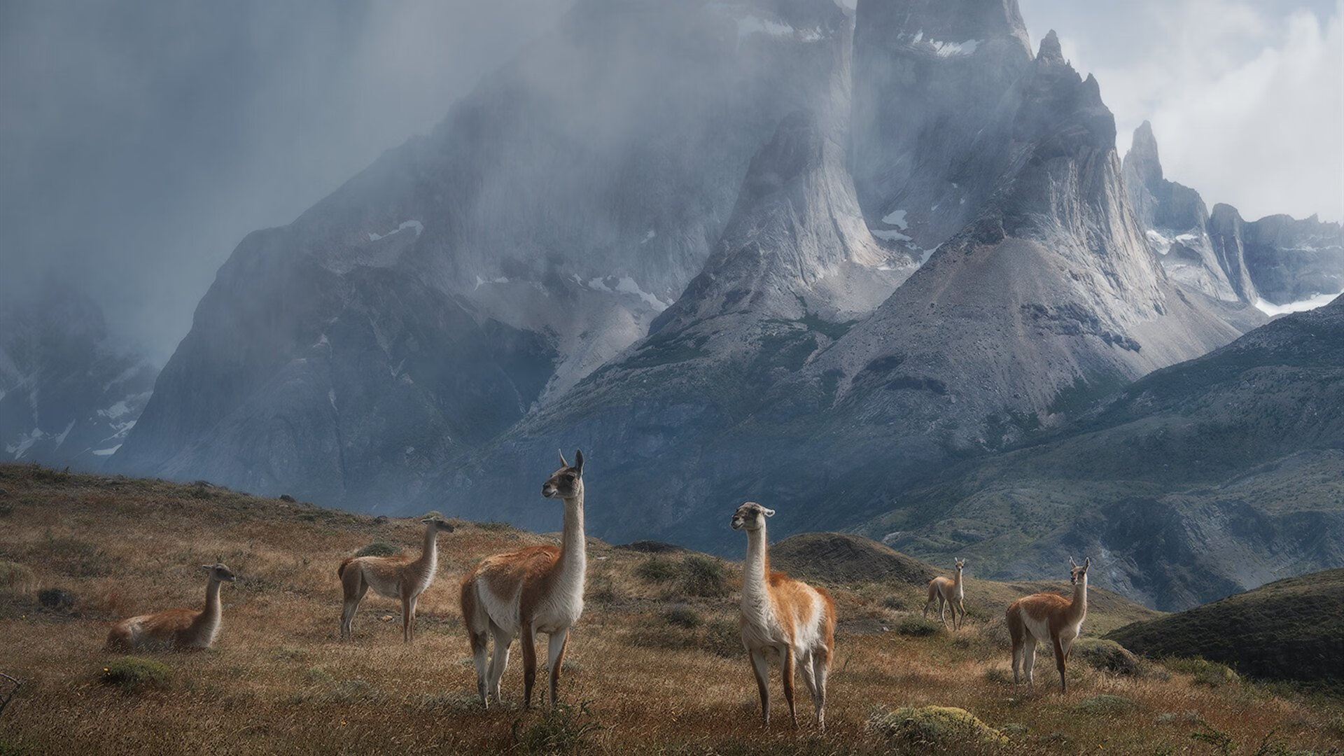 双星闪耀夜，摩洛哥横扫希腊，阿尔瓦雷斯刷新足坛认知