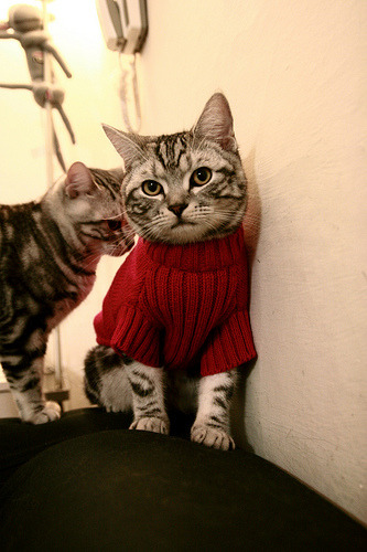 风暴与落叶,雷诺横扫哈斯,塞恩斯闪电点燃赛场