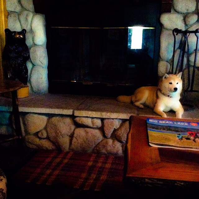 红土救赎，从法网滑铁卢到戴维斯杯逆转王，梅德韦杰夫如何完成心灵淬火？