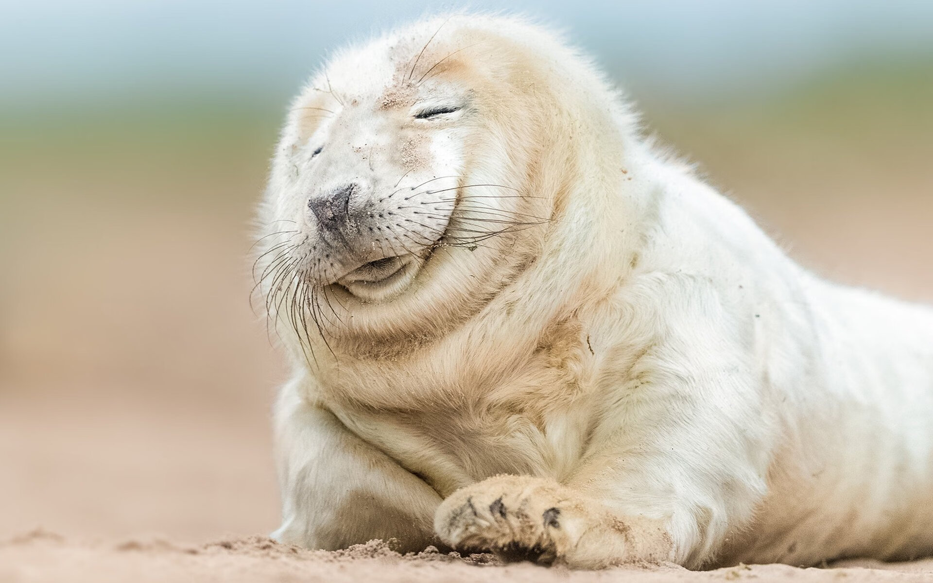 绿茵场与乒乓台的双重奏,波兰的钢铁防线与樊振东的纪录之夜