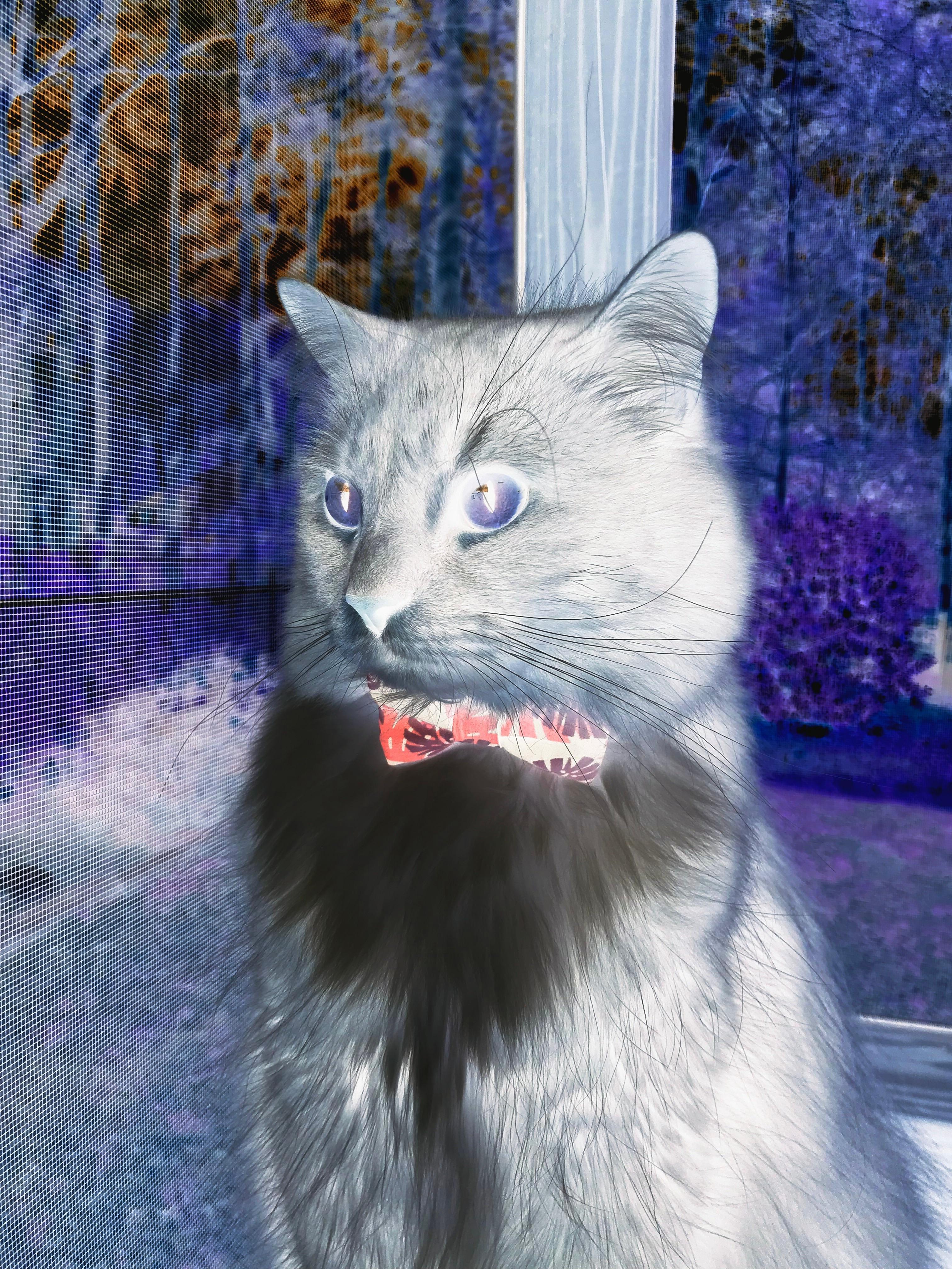 奥运资格赛上演史诗一役,罗德里狂造5球,独舞撕裂钢铁防线