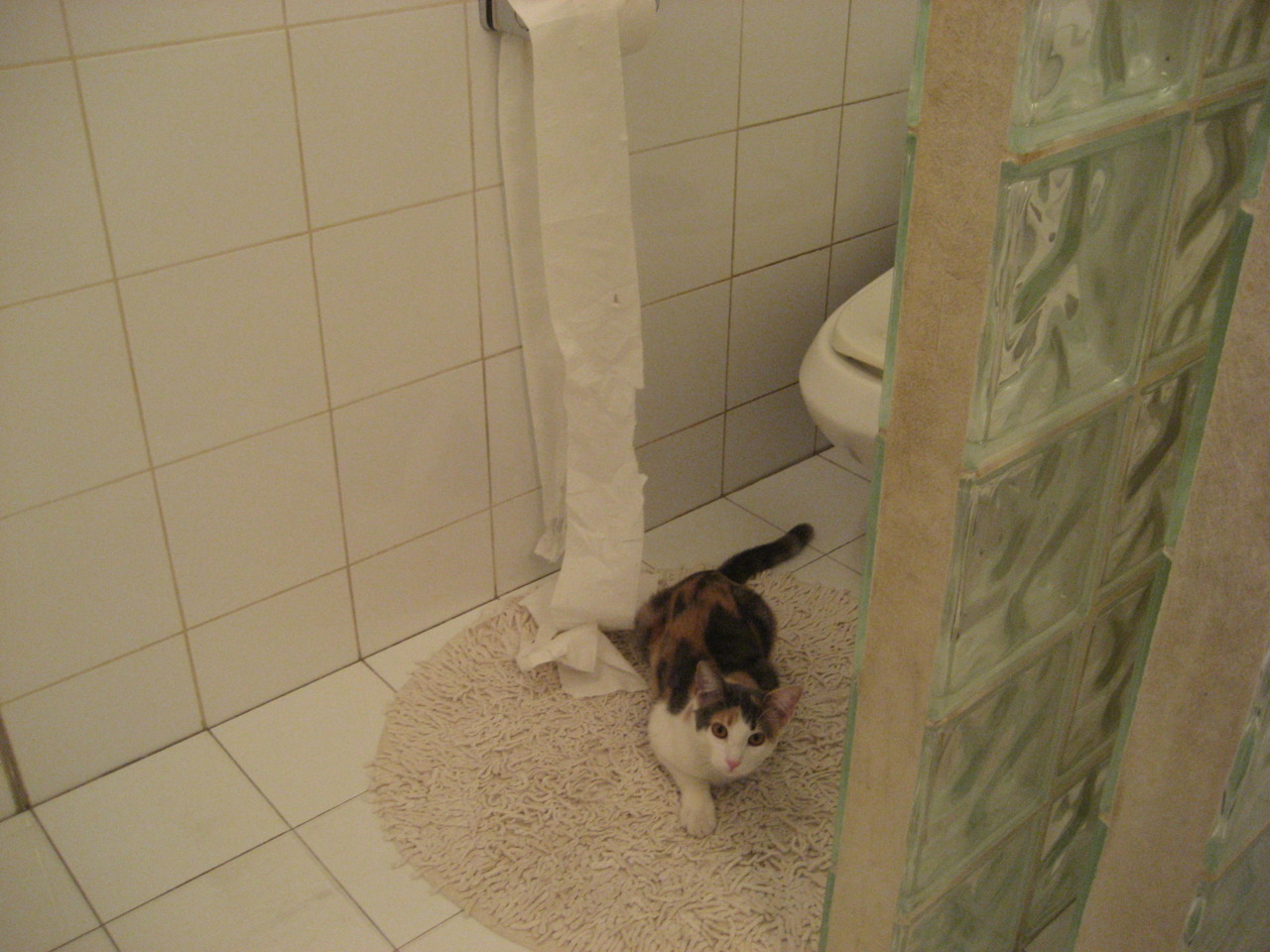 最后一舞,当阿克的射门让比赛提前结束