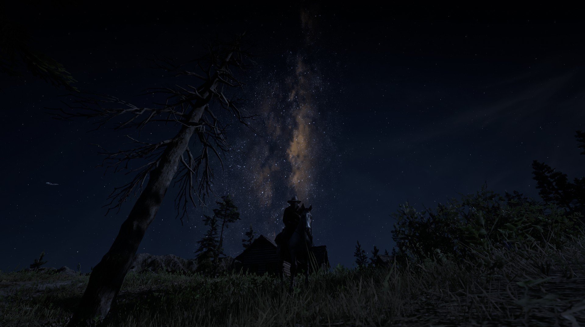 绿茵场上的铁壁，当森林狼的防守哲学降临2026世界杯焦点战