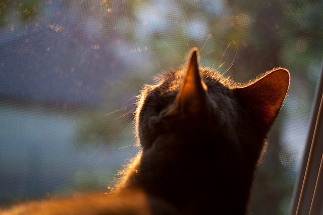 爱游戏官网-天才少年引爆战场！德国险胜莱比锡红牛背后的真正主角竟是卡马文加？