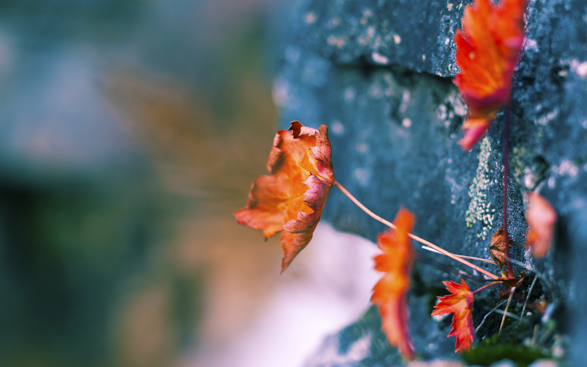 大场面先生奥利维耶独中两元,英格兰补时绝杀上演莱比锡红牛式逆转惊险晋级