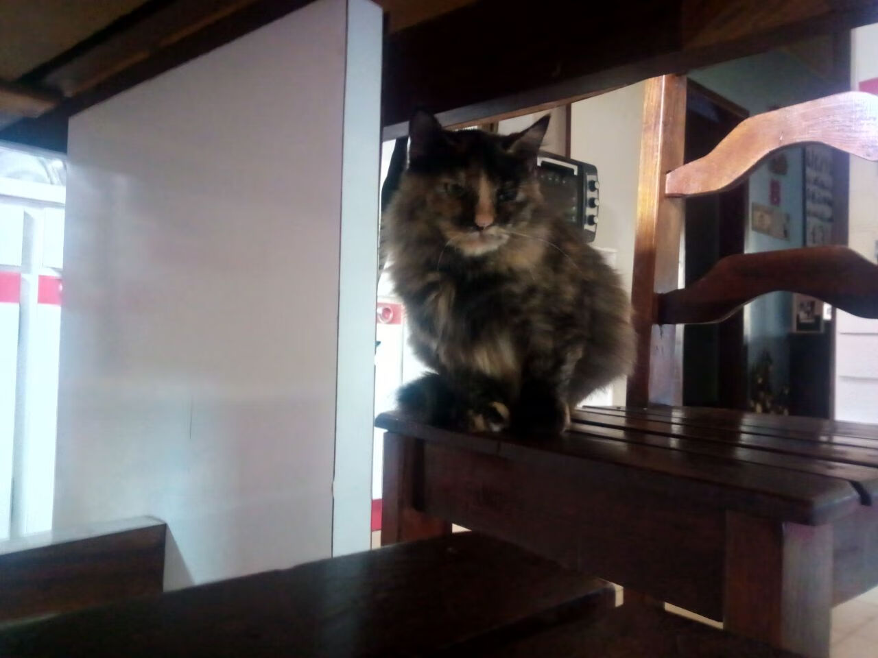 从日耳曼战车到非洲雄鹰,穆勒一射定乾坤,尼日利亚战术革命启示录