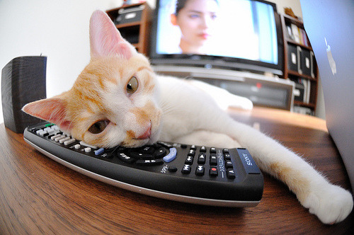 爱游戏入口-浓眉如灯塔破风暴，辽宁破冰船撞沉火箭