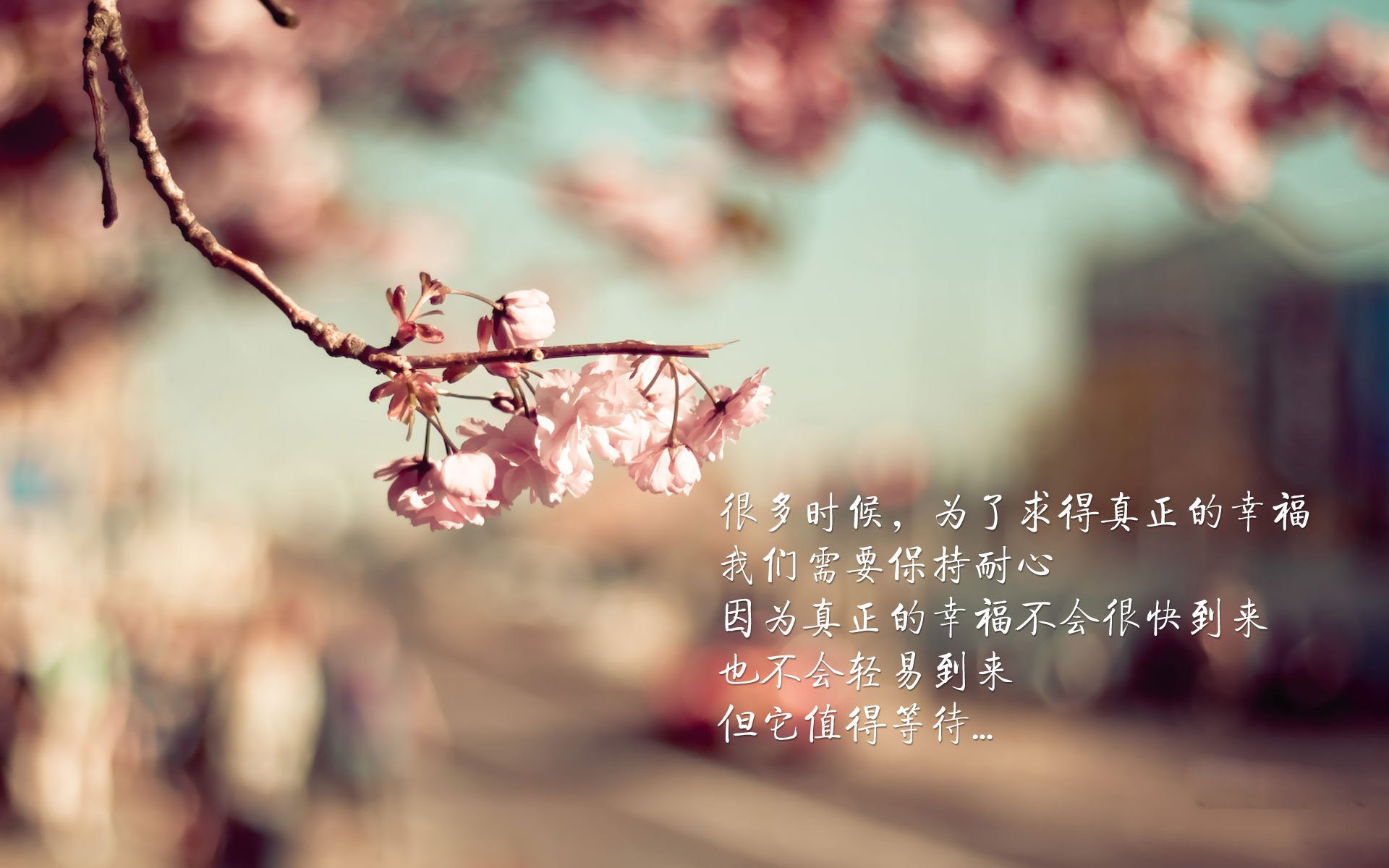 已续约!蒂亚戈展现攻防两端终极形态,率领波兰关键战攻克塞维利亚堡垒