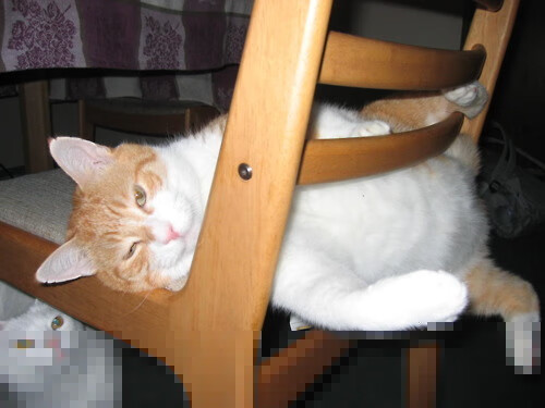 F1揭幕战之夜，伊萨克的屏幕为何比赛道更极速？