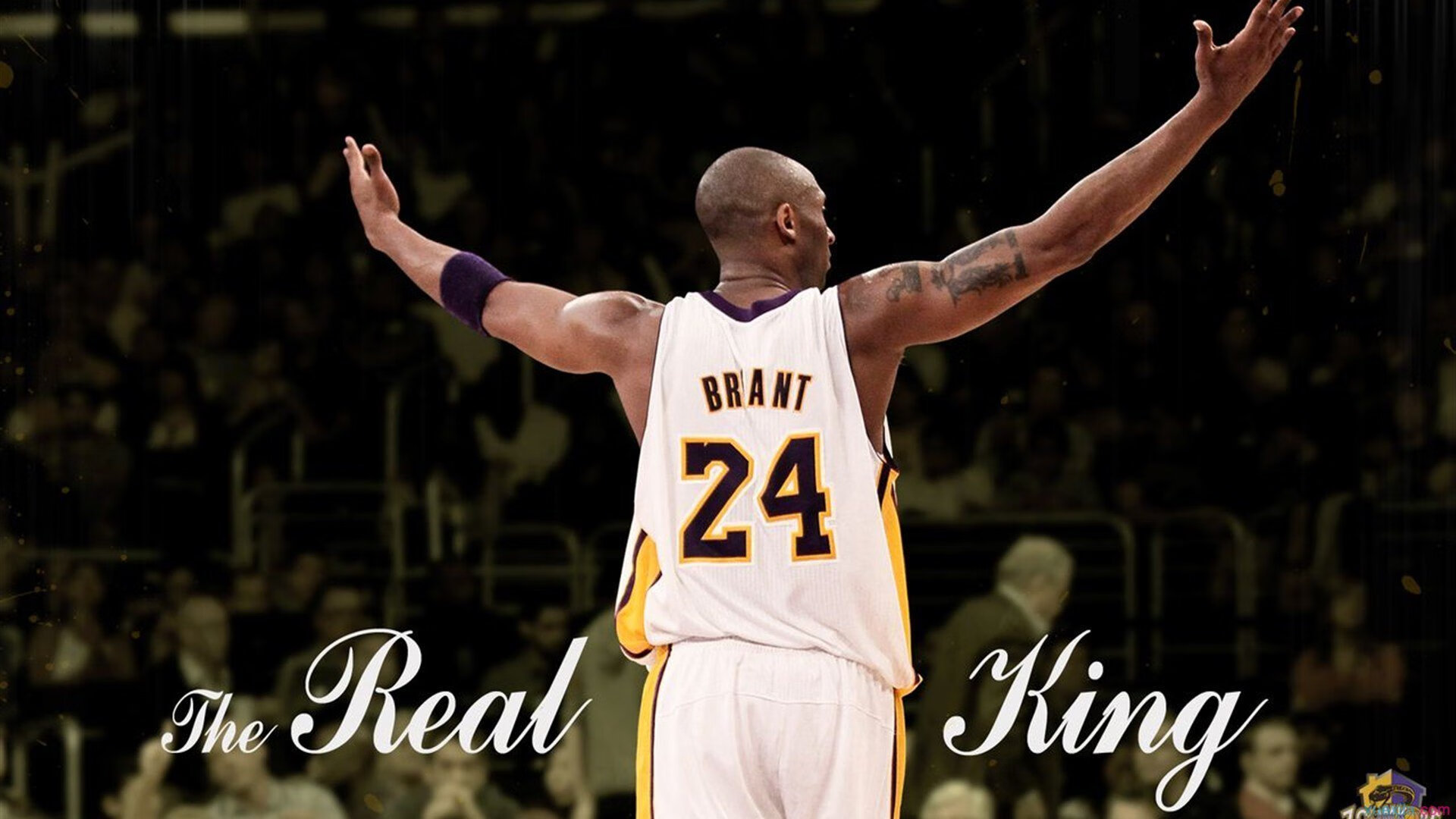 狼群觉醒，贝恩的脉搏，森林狼的胜利交响乐