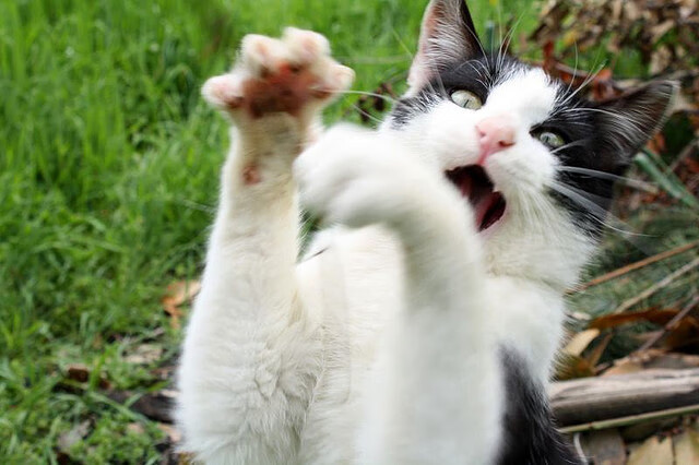 友谊赛烽烟，卡塞米罗绝杀闪耀，非洲冠军上演惊天逆转