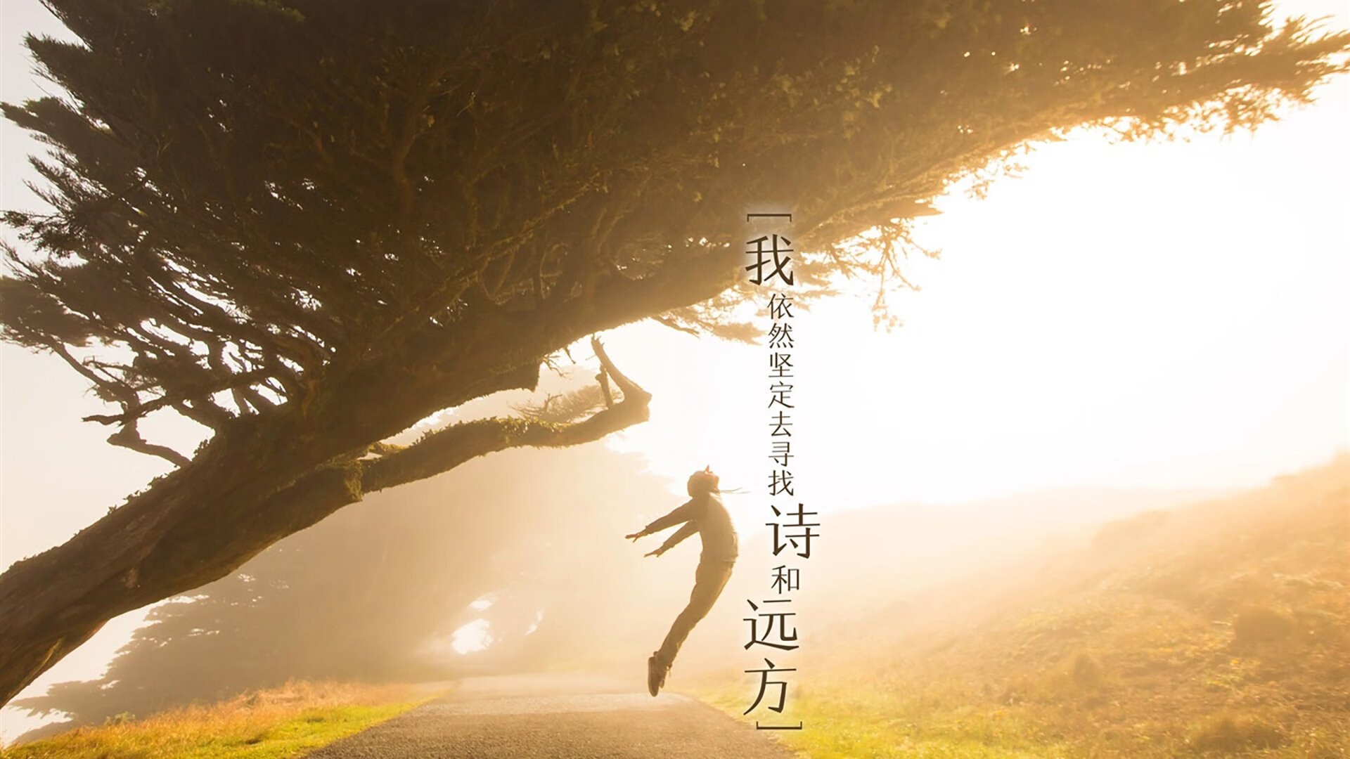 双生引擎，当赛车啸叫遇见足球跃动—维斯塔潘与三笘薰的压力共舞