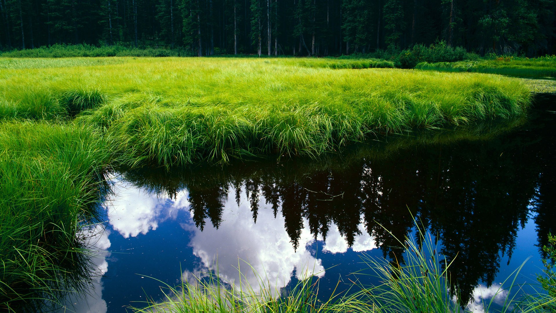 爱游戏-美洲风暴的双重奏，迪巴拉的个人英雄主义与厄瓜多尔的团队闪电战