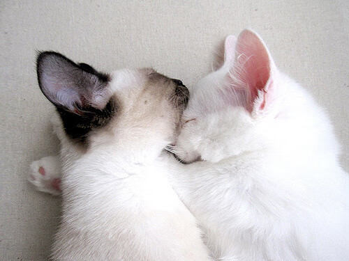 爱游戏大厅-独舞时刻，米切尔的破防术如何一手雕刻胜利纹理