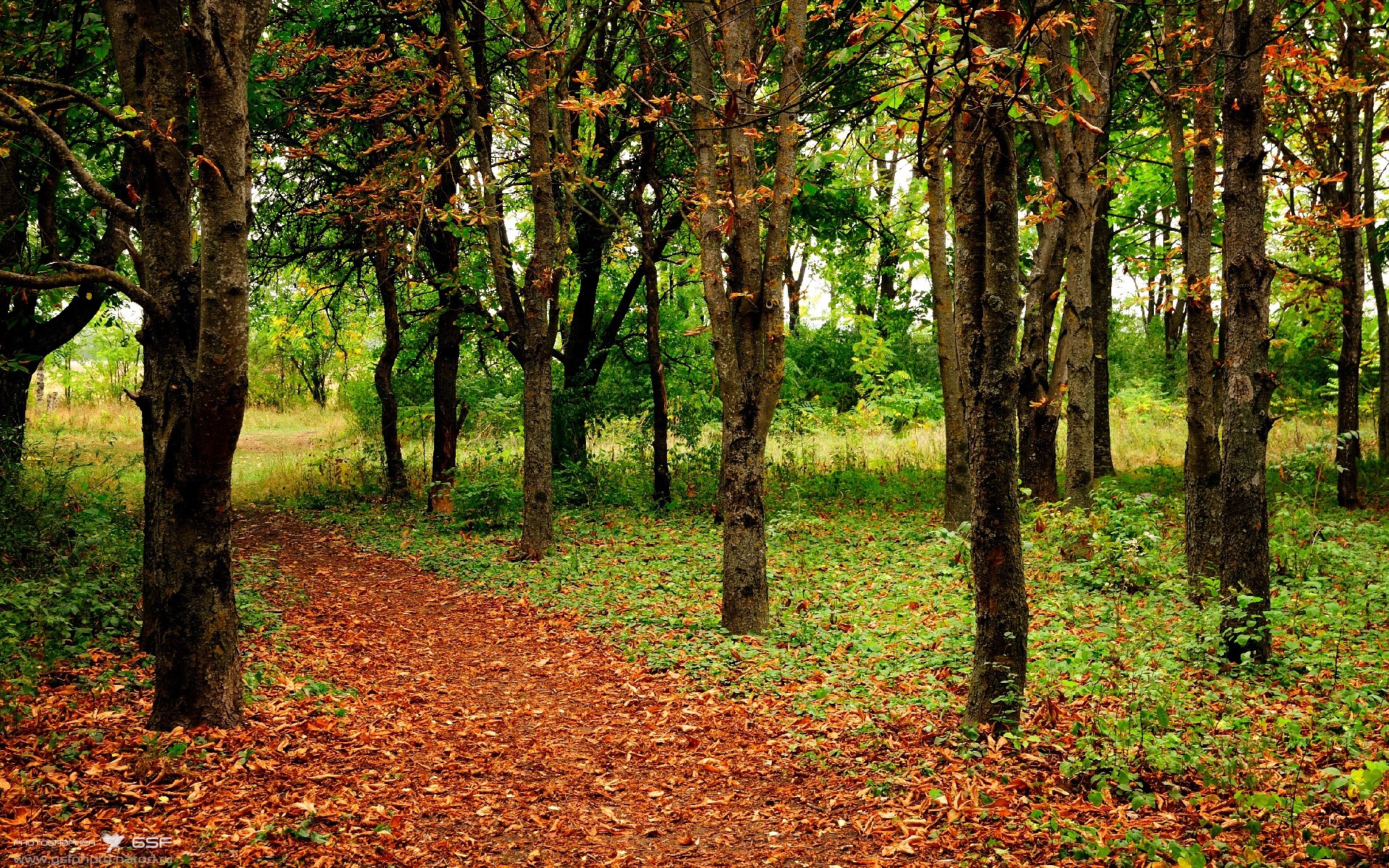风暴中的定盘星，锡安34+12导演北京队轻取步行者