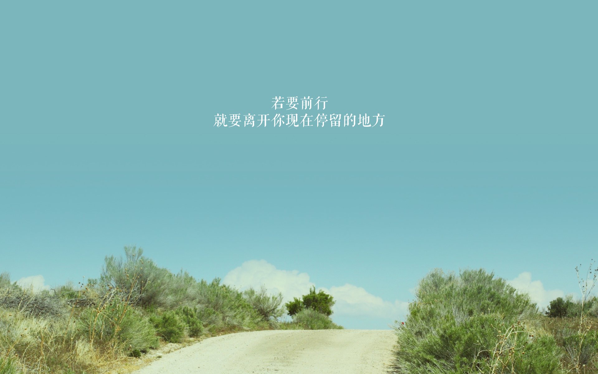 中场定乾坤,穆西亚拉引领美加墨世界杯焦点战,哥斯达黎加力撼保加利亚