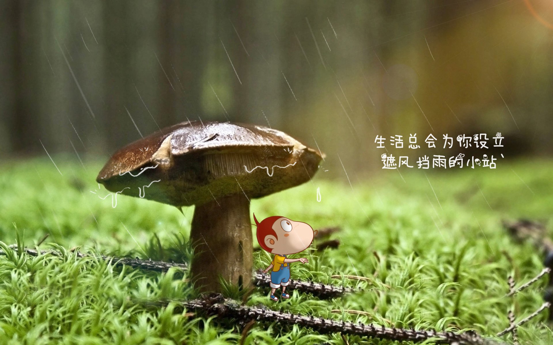 孤星坠落,2026世界杯H组生死战,斯洛伐克横扫美国,三笘薰引领攻守转换风暴