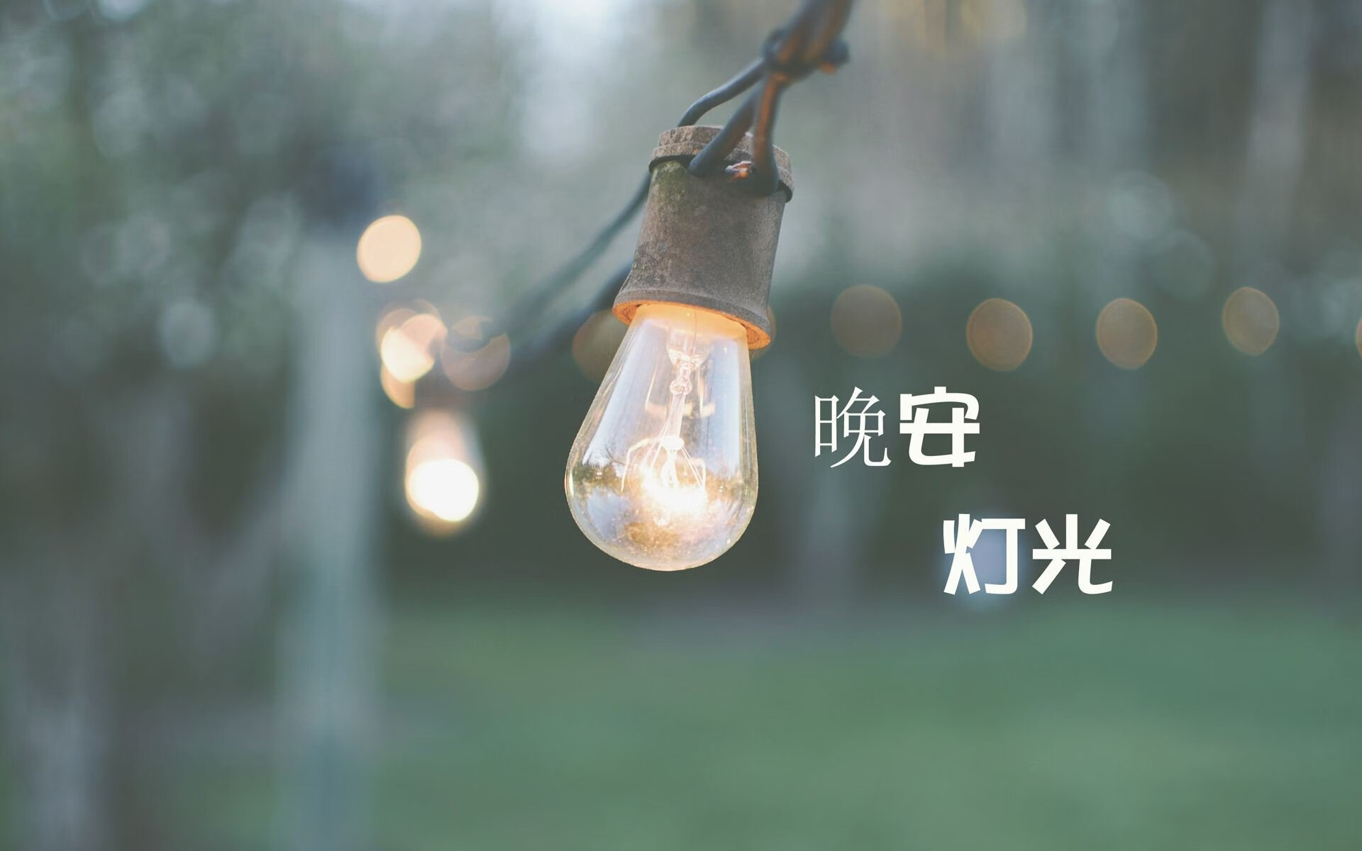 蓝海孤城,当印度足球的控球梦境撞上北欧冰墙,库尔图瓦的2026世界杯神迹之夜