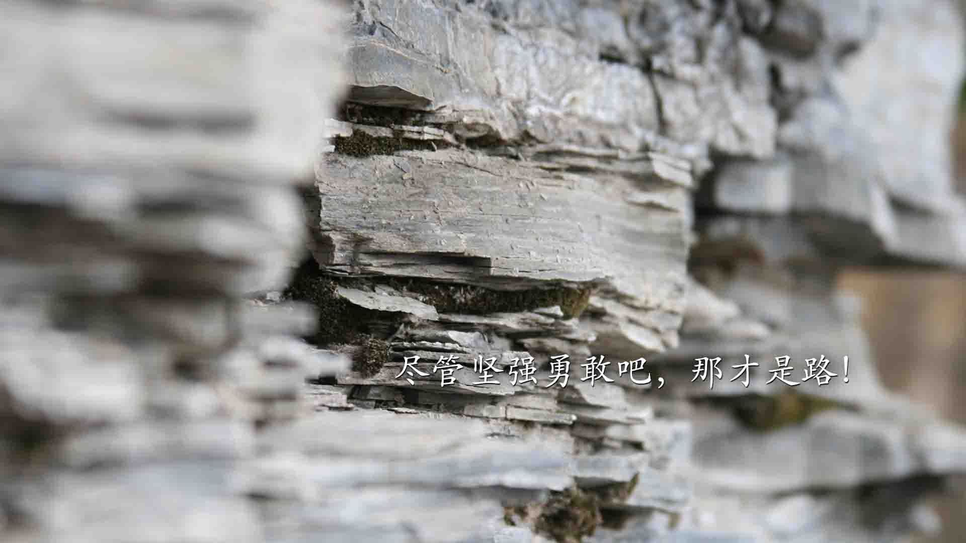 压哨绝杀刺破星条旗，佩德里封神之夜，葡萄牙以最残酷的方式赢得世界杯揭幕战